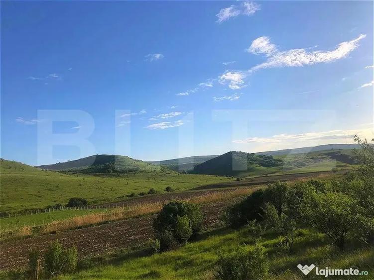 Teren în Pata