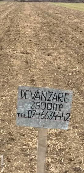 Teren de 3500 mp, în Argeșani