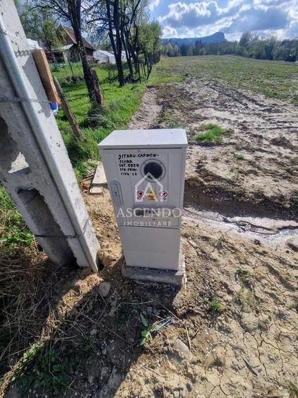Teren Construcții extravilan de 19356 mp, în Breb