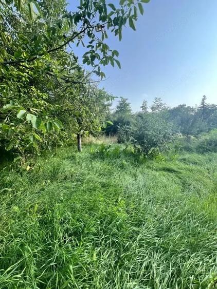 Casă cu 3 camere cu Teren 800 Mp în Siret