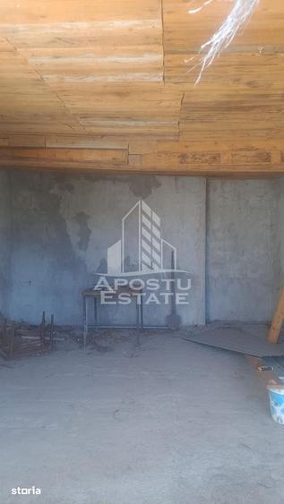 Casă cu 2 camere cu Teren 5075 Mp în Foeni