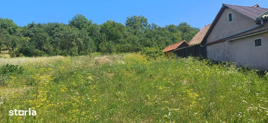 Teren de 3000 mp, în Chinteni