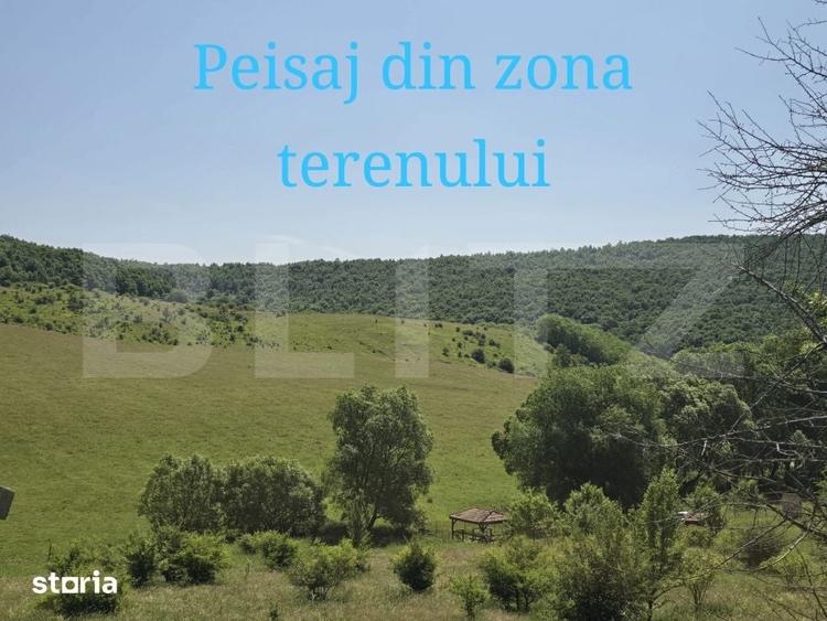Teren de 1200 mp, în Ciurila