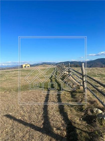 Teren Construcții intravilan de 2550 mp, în Păltiniș