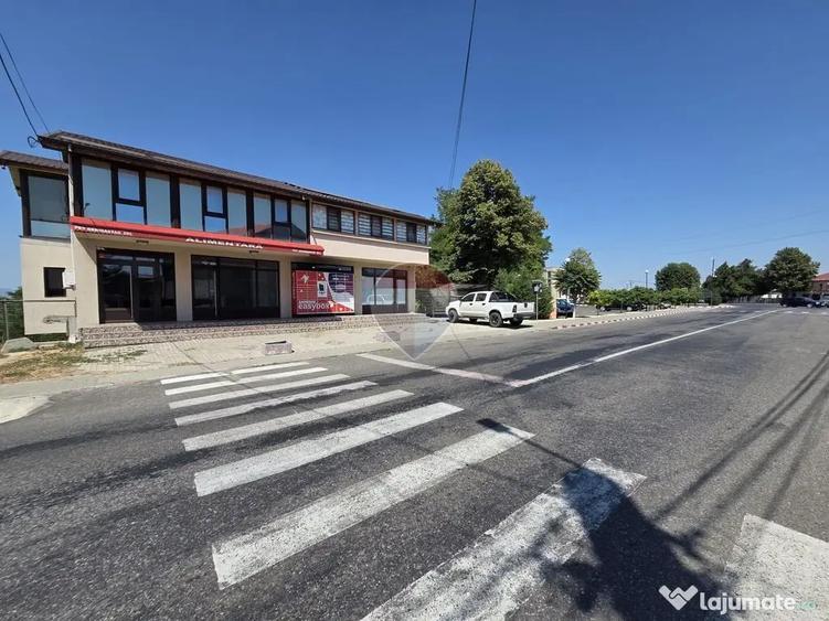 Spațiu comercial, de 50 mp, în Golești