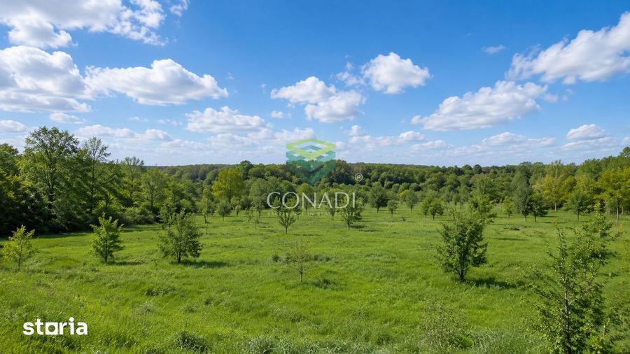 Spațiu comercial, de 10,000 mp, în Băneasa