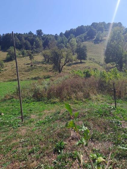 Casă cu 3 camere în Densuș