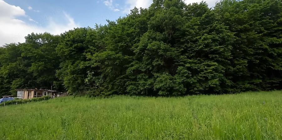 Teren de 1000 mp, în Căpușu Mare