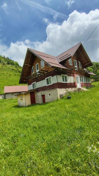 Casă cu Teren 5400 Mp în Măgura