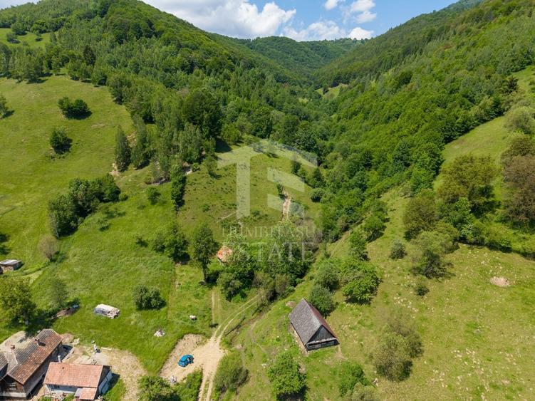 Teren Construcții intravilan de 11381 mp, în Moieciu