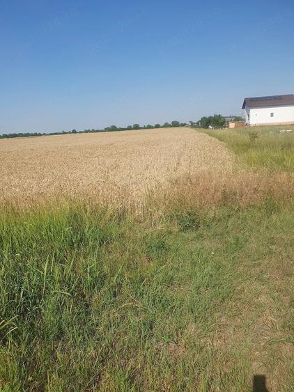 Teren de 18000 mp, în Bujac