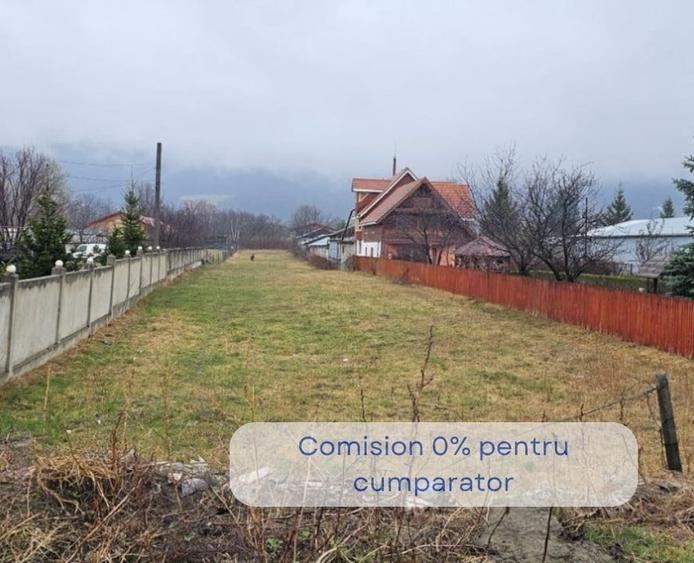 Teren Construcții intravilan de 3903 mp, în Dărmănești