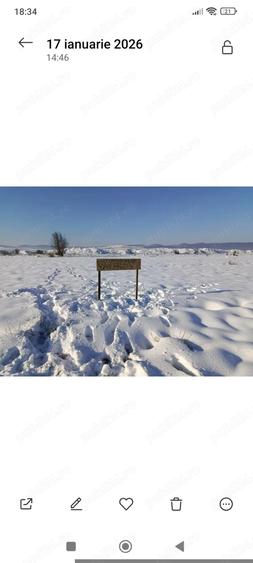 Teren de 4000 mp, în Florești