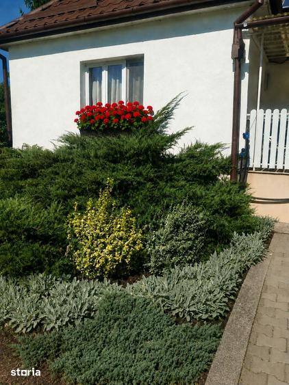 Casă cu 4 camere cu Teren 1100 Mp în Central