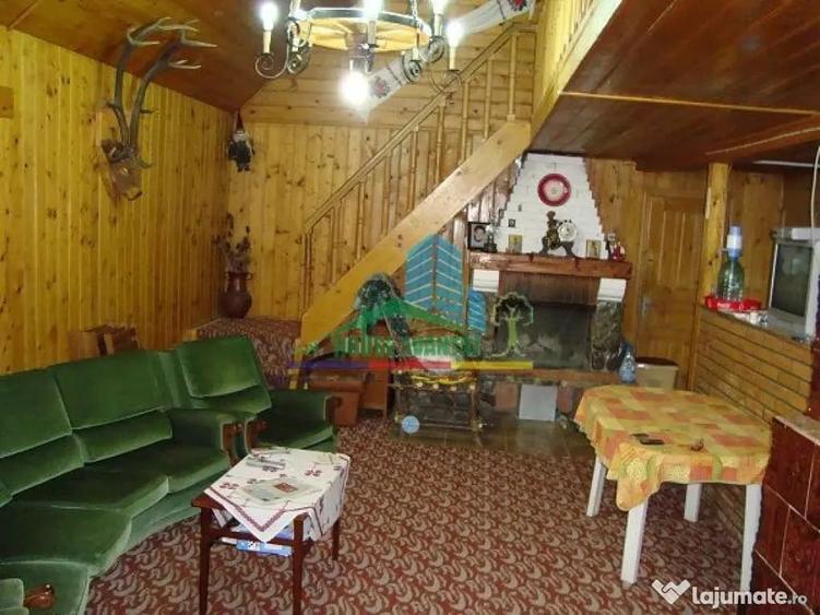 Spațiu comercial, de 450 mp, în Lepșa