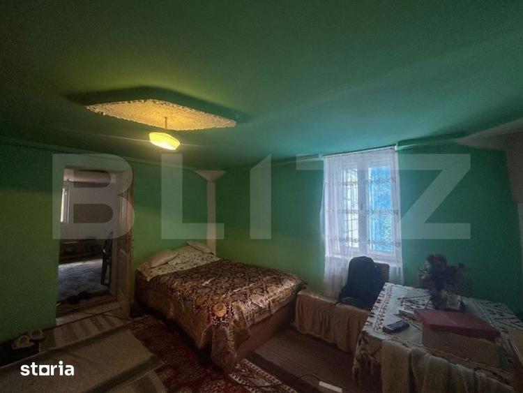 Casă cu 4 camere cu Teren 12186 Mp în Rapoltu Mare