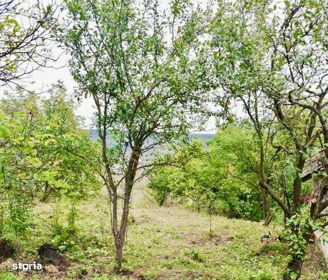 Teren de 1050 mp, în Dâmbul Rotund