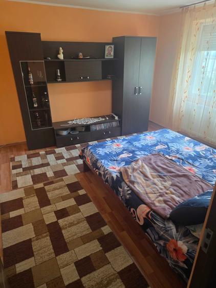 Apartament cu 2 camere decomandat în Botizului