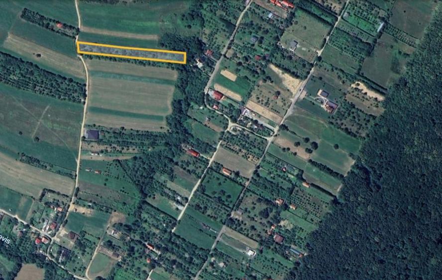 Teren de 3200 mp, în Rășinari