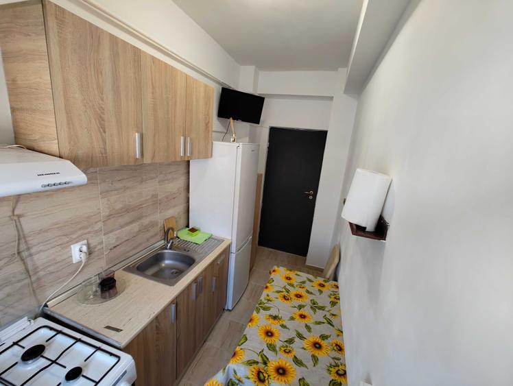 Garsoniera Moderna si Primitoare de Inchiriat Dobroesti - 5