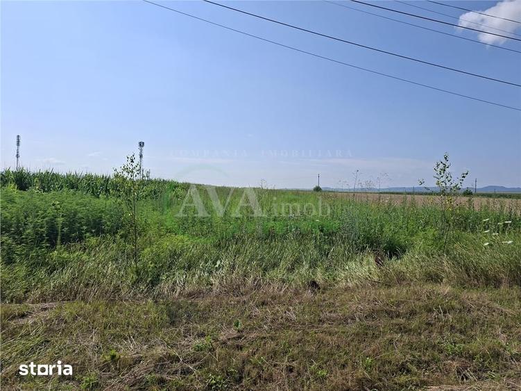 Teren de 1600 mp, în Nicolae Bălcescu