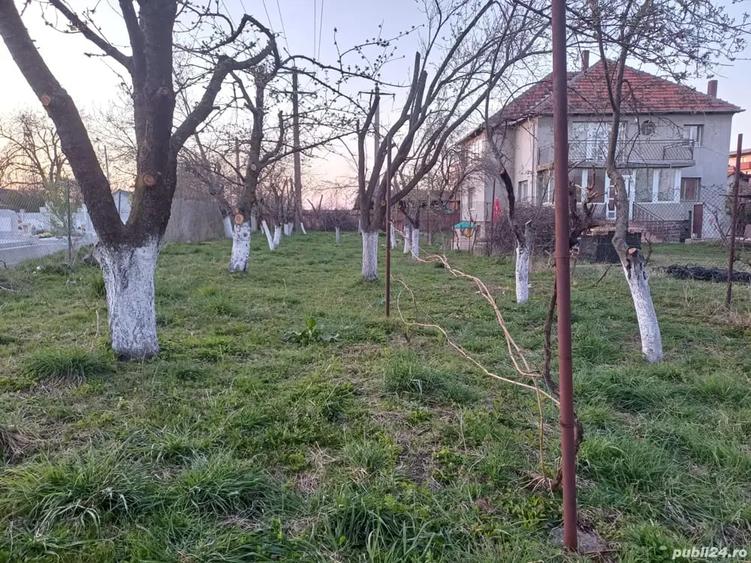 Casă cu 6 camere cu Teren 4500 Mp în Torontalului