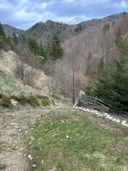 Teren de vanzare - 7