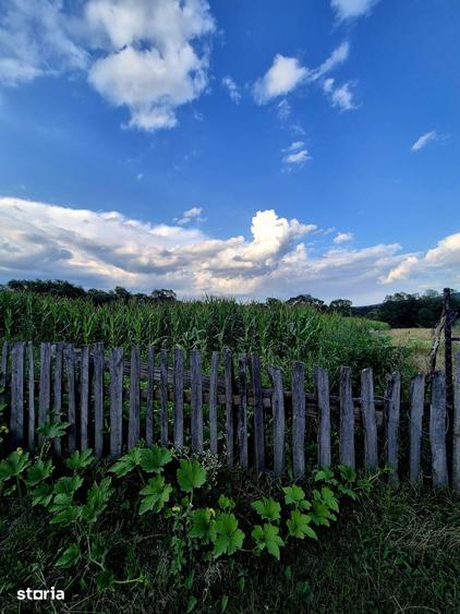 Teren de 1015 mp, în Șinca