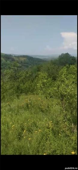 Teren de 5531 mp, în Drajna