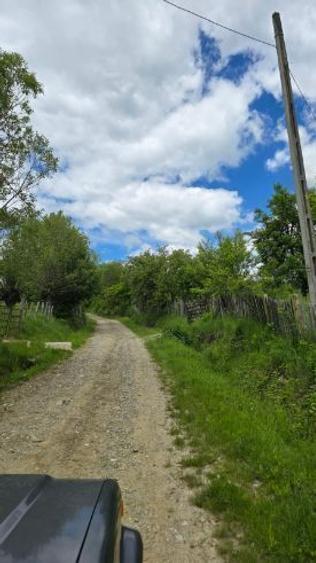 Teren agricol extravilan de 4570 mp, în Corbeni