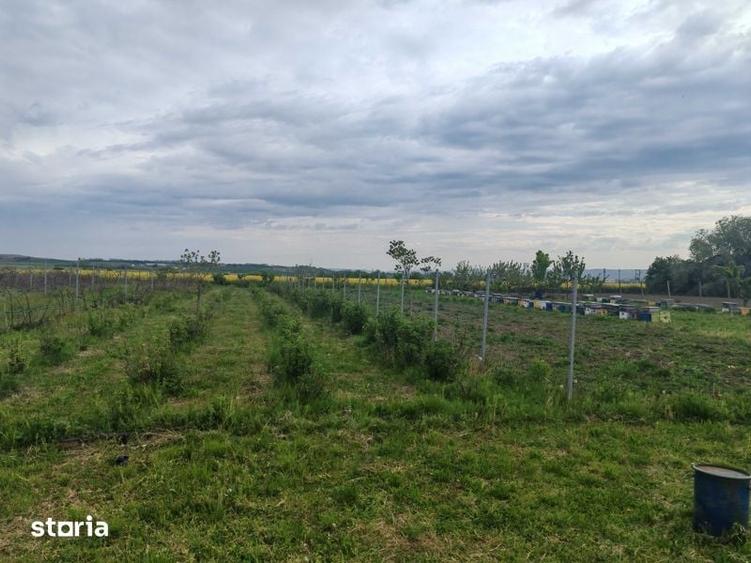 Teren de 9700 mp, în Galda de Jos