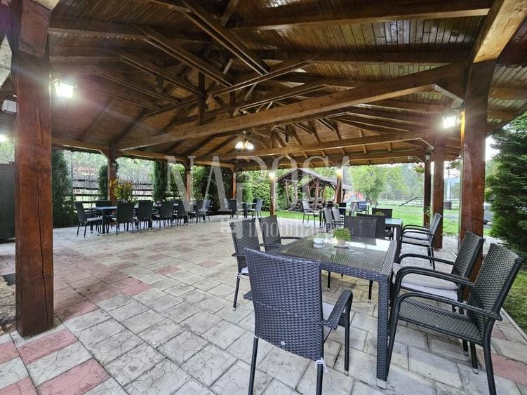 Casă individuală cu 19 camere cu Teren 9669 Mp în Mărgău