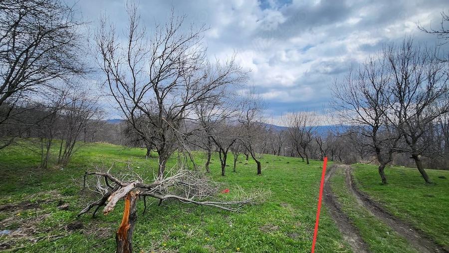 Teren de 4400 mp, în Vatra Satului