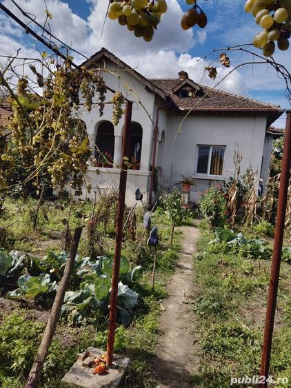 Casă cu 3 camere cu Teren 7170 Mp în Turceni