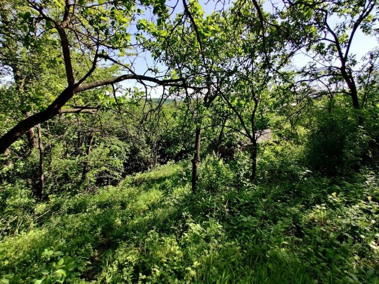 Teren de 1400 mp, în Dezmir