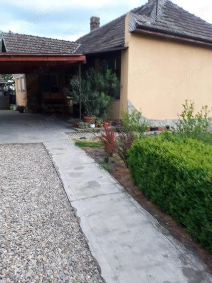 Casă cu 3 camere cu Teren 23000 Mp în Moftin
