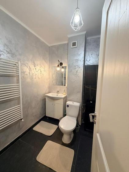 Apartament 2 camere, etaj intermediar, mobilat, zona Corneliu Coposu - 8