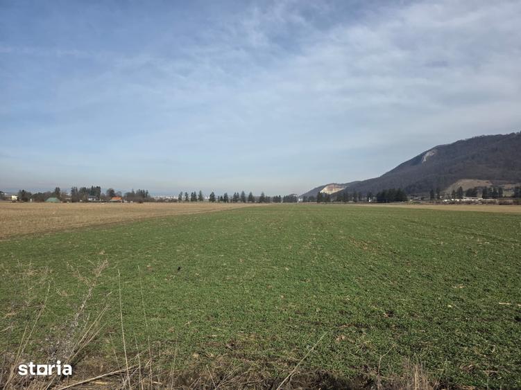 Teren de 16000 mp, în Tractorul