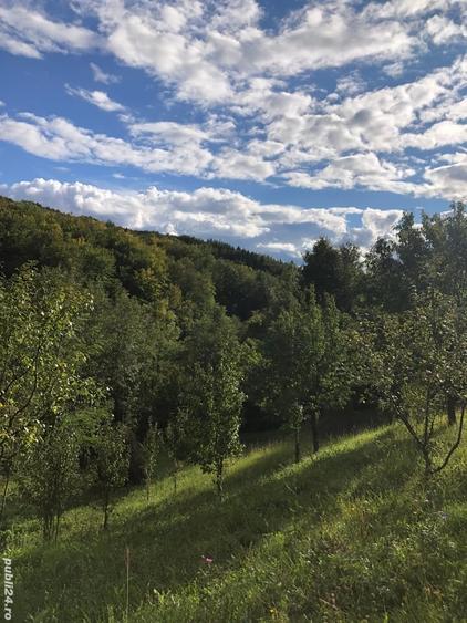 Teren de 9104 mp, în Brebu
