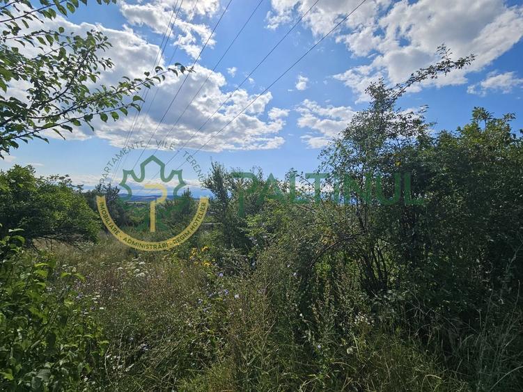 Teren Construcții intravilan de 2134 mp, în Exterior Nord