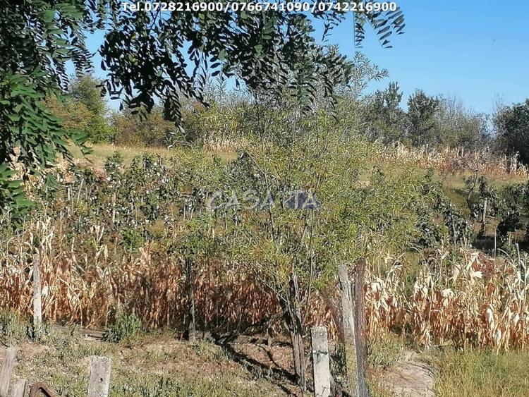 Casă individuală cu 3 camere cu Teren 8567 Mp în Bumbești-Pițic
