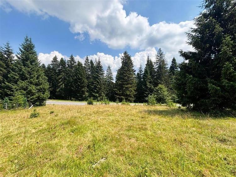 Teren Construcții intravilan de 1000 mp, în Vlădeț - Trei Brazi