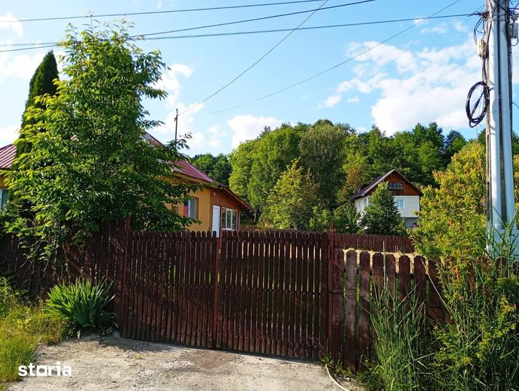 Casă cu 3 camere cu Teren 3000 Mp în Central