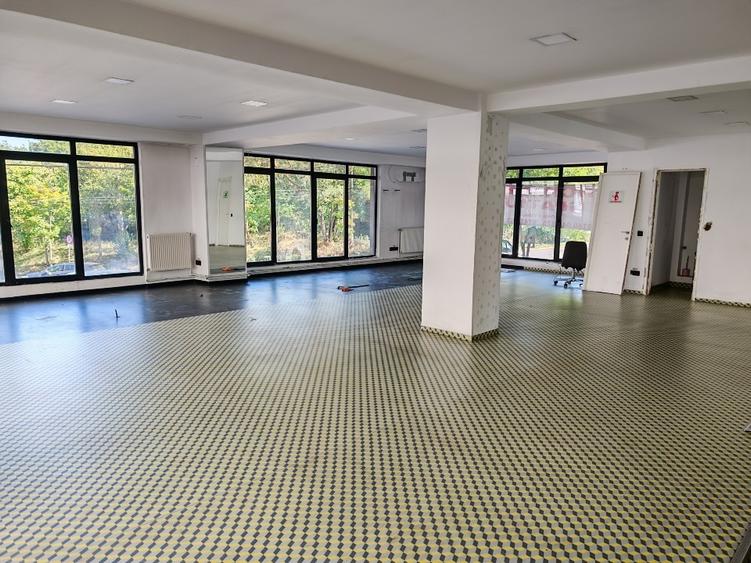 Spatiu comercial de închiriat Plopilor - 1