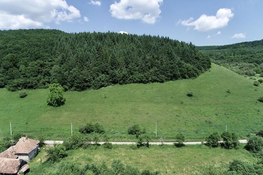 Teren de 8000 mp, în Micești