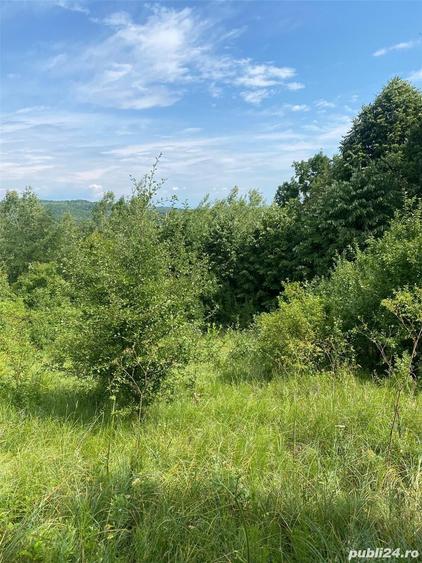 Teren de 10000 mp, în Căzănești (Milcoiu)
