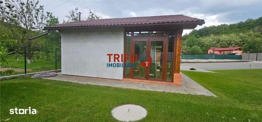 Casă cu 1 camere cu Teren 1335 Mp în Ighiu