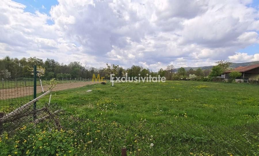 Teren Construcții intravilan de 19209 mp, în Crasna