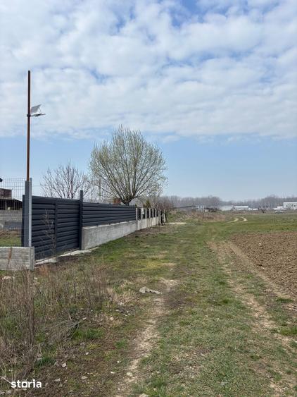 Teren de 5000 mp, în Podari