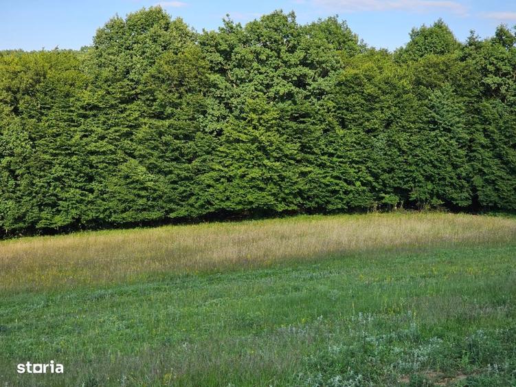 Teren extravilan, panorama deosebita intre Corunca si Bozeni,16.900 mp - 2